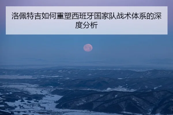洛佩特吉如何重塑西班牙国家队战术体系的深度分析
